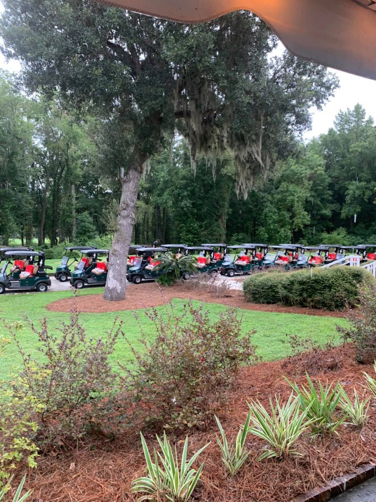 Golf carts lined up under the oaks at Summerville Country Club